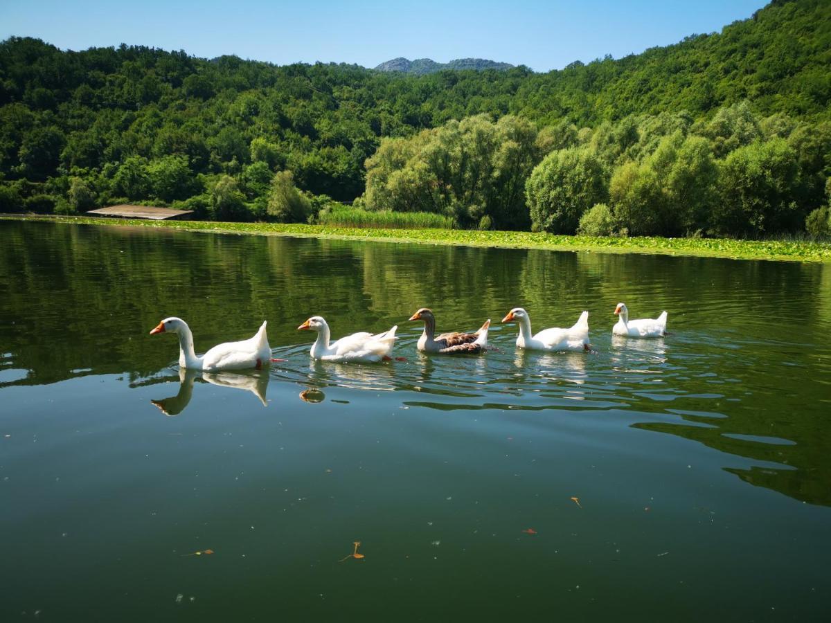 Apartment Dapcevic Skadar Lake Vranjina Luaran gambar