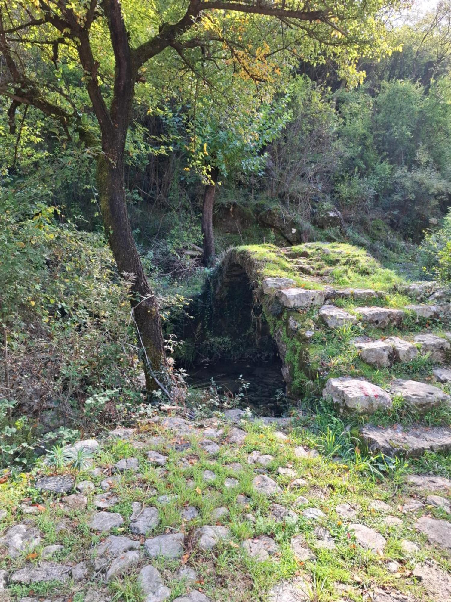 Apartment Dapcevic Skadar Lake Vranjina Luaran gambar